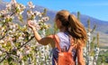 Woman in blooming cherry flower Royalty Free Stock Photo