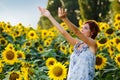 Woman on blooming sunflower field