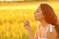 Woman blowing a dandelion in a wheat field at sunset Royalty Free Stock Photo