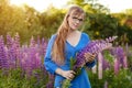 Woman in blue dress in purple lupines field. Meadow of violet flowers in the summer. Girl with long hair holding a lupine bouquet Royalty Free Stock Photo