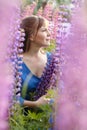 Woman in blue dress in purple lupines field. Meadow of violet flowers in the summer. Girl with long hair holding a lupine bouquet Royalty Free Stock Photo