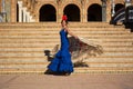 The woman with the blue dress and the red bow dancing