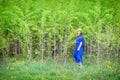 A woman in a blue dress stands full-length near young green trees, copy space for text Royalty Free Stock Photo