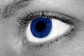 Una mujer azul ojo 