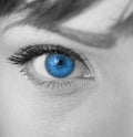 Woman blue eye macro Royalty Free Stock Photo