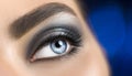 Woman blue eye with perfect makeup. Beautiful professional smokey eyes holiday make-up. Eyebrows shaping, eyes and eyelashes