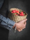 Woman in blue jeans shirt holding the basket full of strawberry Royalty Free Stock Photo