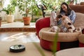 Woman in blue shirt plays with dog, Jack Russell Terrier breed at home on couch, Robotic vacuum cleaner on carpet, enjoying life Royalty Free Stock Photo