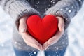 woman in a blue sweater, focus on her hands, holds a red heart against the background of a winter landscape and snow. Health