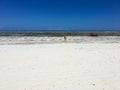 Woman and boat on Paje beach, Zanzibar Royalty Free Stock Photo