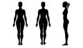 woman body anatomy, front, back, side view, vector Royalty Free Stock Photo