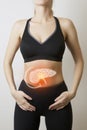 Woman body with pancreas visualisation