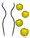 Woman body lines with apples concept.