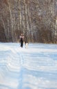 Woman with borzoi outdoors Royalty Free Stock Photo