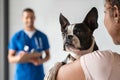 Woman with boston terrier dog at vet