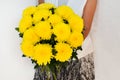 Woman with abouquet of yellow chrysanthemums. Beautiful fresh yellow flowers for holiday. Woman holding beautiful yellow flowers
