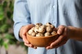 Woman with bowl of quail eggs indoors, closeup Royalty Free Stock Photo