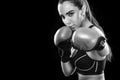 Woman boxer fighting in boxing cage. Isolated on black background. Copy Space. Black and white photo. Sport concept. Royalty Free Stock Photo