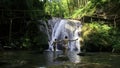 Woman and boy child bathing in beautiful waterfall in dense jungles. Creative. Woman and a boy in cold mountainous river Royalty Free Stock Photo