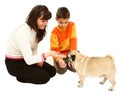 Woman boy and dog Royalty Free Stock Photo