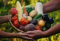 A woman and a boy are holding a basket with freshly picked organic vegetables Royalty Free Stock Photo