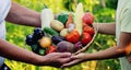 A woman and a boy are holding a basket with freshly picked organic vegetables Royalty Free Stock Photo