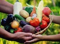 A woman and a boy are holding a basket with freshly picked organic vegetables Royalty Free Stock Photo