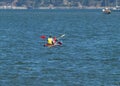 Woman And Boy Kayaking On San Francisco Bay Paddling Away Royalty Free Stock Photo