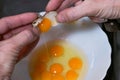 Woman breaks the quail eggs for making omelette.