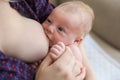 Woman breast feeding her little baby at home, closeup Royalty Free Stock Photo