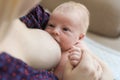 Woman breast feeding her little baby at home, closeup Royalty Free Stock Photo