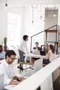 Woman briefing colleagues in an open plan office, vertical Royalty Free Stock Photo