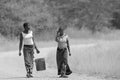 Woman bringing a bucket of water