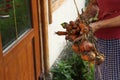 A woman brings home fresh vegetables - carrots and onions from the garden.