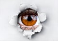 Woman brown eye looking through hole in ripped paper Royalty Free Stock Photo