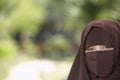 Woman In Brown Niqab