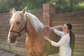 Woman brushing adorable horse outdoors. Pet care