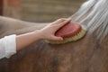 Woman brushing adorable horse outdoors, closeup. Pet care