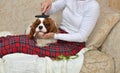 Woman Brushing Lovely Dog