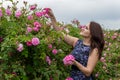 Woman in a Bulgarian pink rose garden