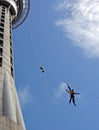 Woman Bungy Jumping From Auckland Sky Tower