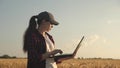 A woman businessman with a laptop in her hands works in a wheat field, communicates and checks the harvest. woman farmer Royalty Free Stock Photo