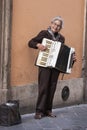 Woman busker playing accordion. White hair street artist Royalty Free Stock Photo