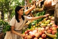 Woman buying fruits on a street market. Asian female choosing fruits at a farmers market Royalty Free Stock Photo