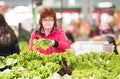 Woman buying lettuce at market place