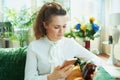 Woman buying pharma using phone in modern house in sunny day