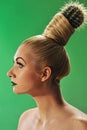 Woman with cactus in her hair Royalty Free Stock Photo