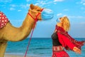 Woman with camel at Covid-19 Royalty Free Stock Photo