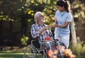 Woman caregiver helping giving drink to man in wheelchair Royalty Free Stock Photo