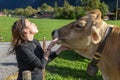 Woman caressing a cow`s head at Engelberg on the Swiss alps Royalty Free Stock Photo